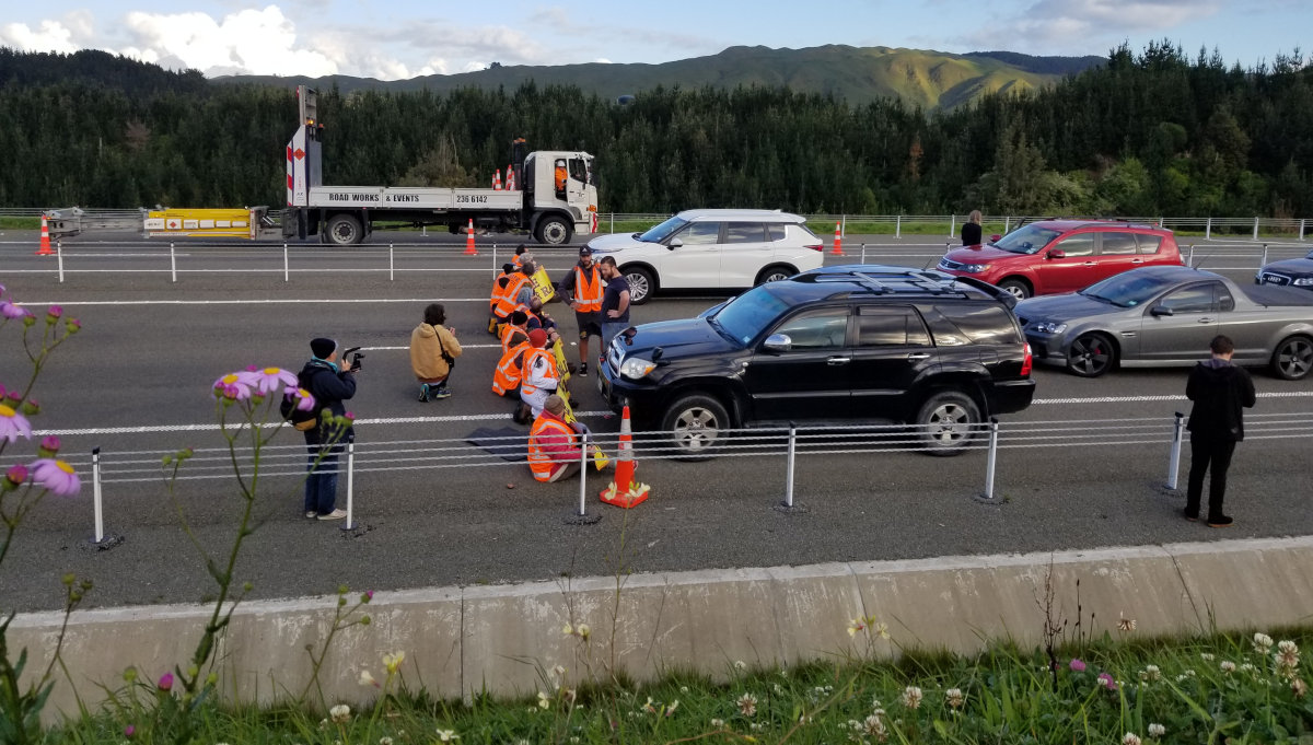 people blocking traffic on transmission gully from the perspective of a person on the embankment beside a purple flower